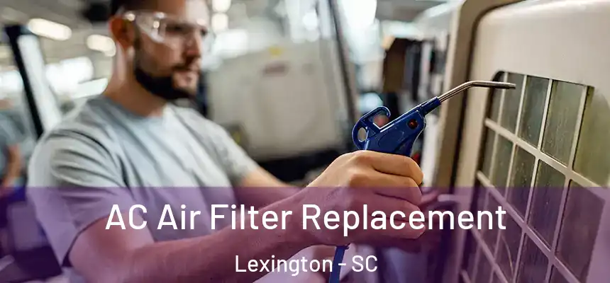  AC Air Filter Replacement Lexington - SC