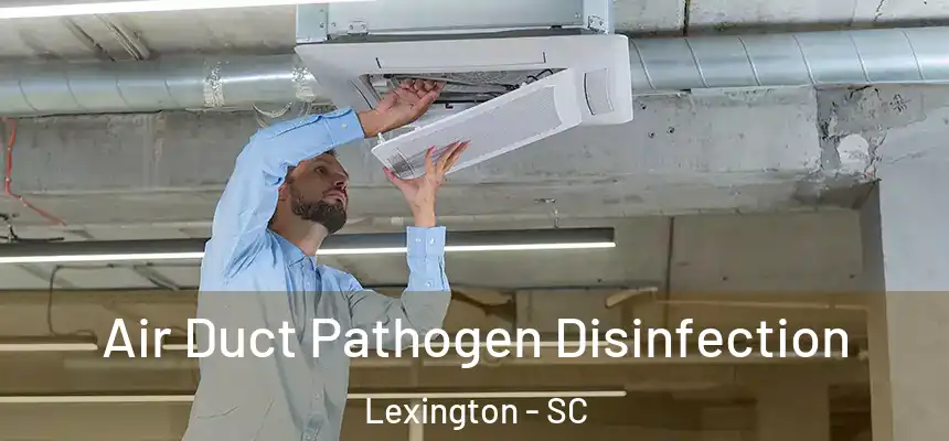  Air Duct Pathogen Disinfection Lexington - SC