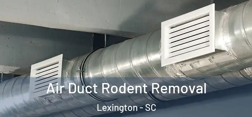  Air Duct Rodent Removal Lexington - SC