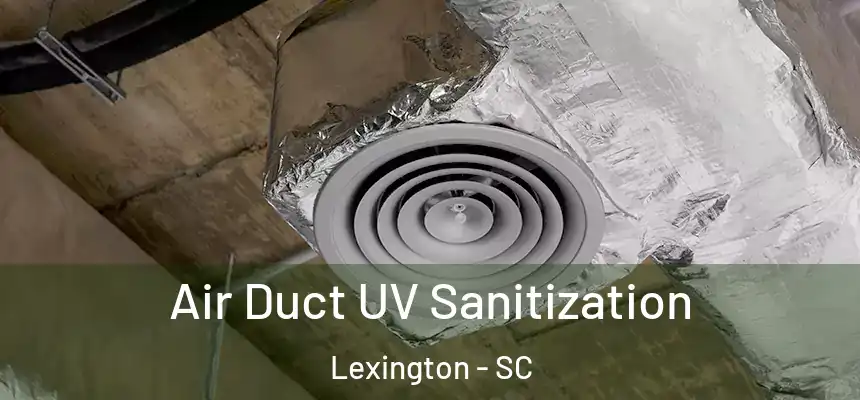  Air Duct UV Sanitization Lexington - SC