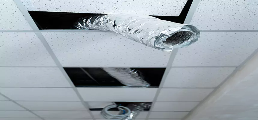 Our Air Duct Pet Hair Removal Services in Lexington, SC