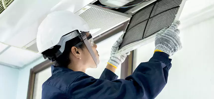 Our Mold & Mildew Removal from Air Ducts Services in Lexington, SC