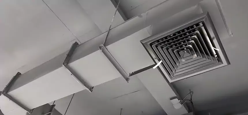 Our Pest Removal From Ducts Services in Lexington, SC