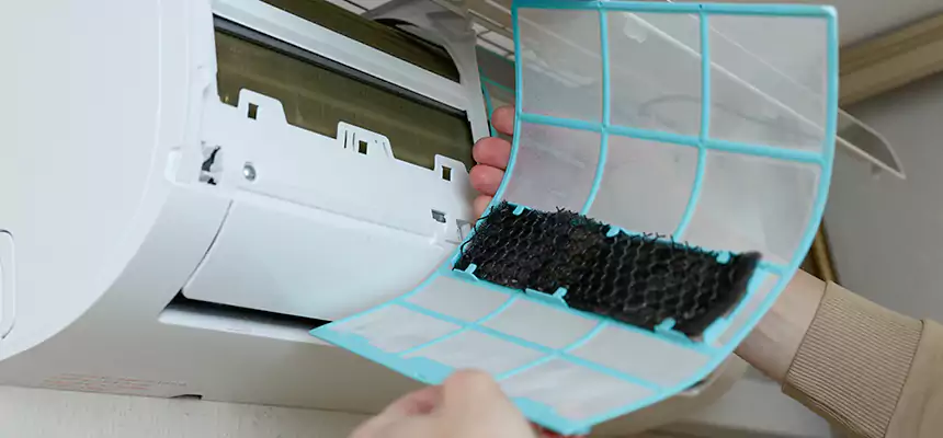 Gentle Ductwork Odor-Control Pet Dander Duct Cleaning in Lexington, SC