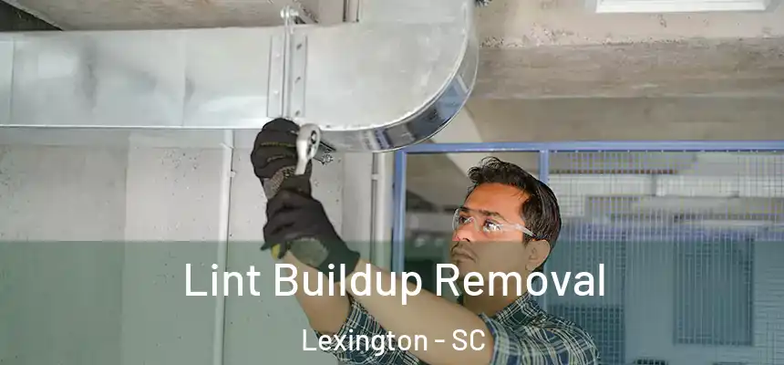  Lint Buildup Removal Lexington - SC