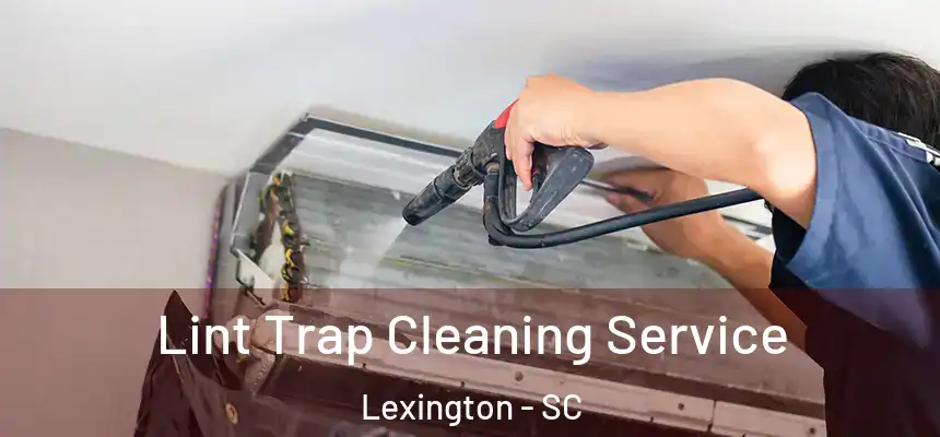  Lint Trap Cleaning Service Lexington - SC