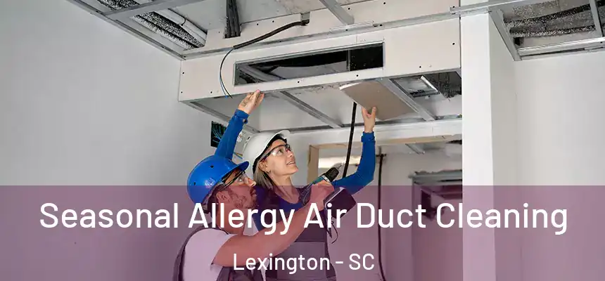 Seasonal Allergy Air Duct Cleaning Lexington - SC
