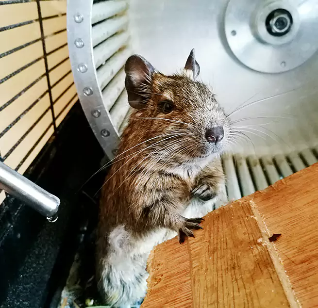 Why Homeowners & Businesses Trust Us Lexington, SC