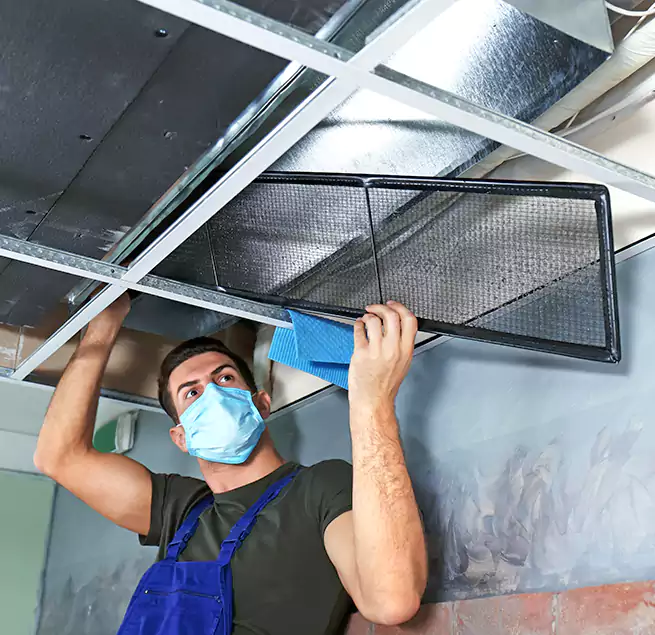 Why Homeowners Businesses Trust Us in Lexington, SC