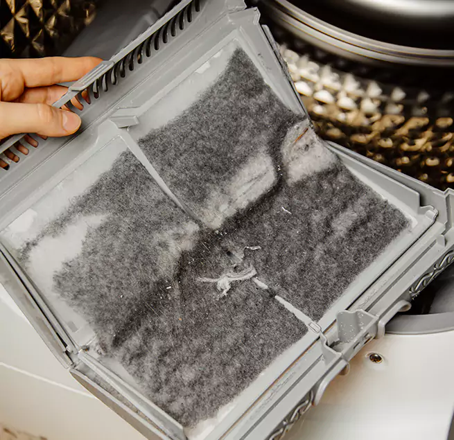  Why Homeowners & Businesses Trust Us Lexington, SC?