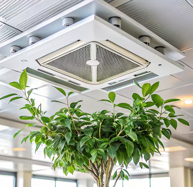 Why Homeowners & Businesses Trust Us in Lexington, SC?