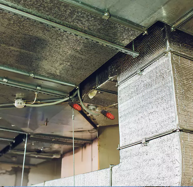 Why Homeowners & Businesses Trust Us Lexington, SC?