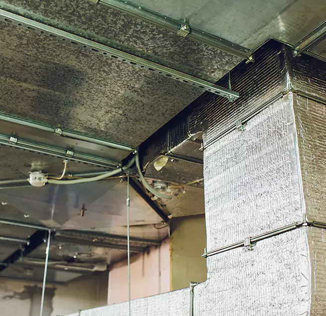 Why Homeowners & Businesses Trust Us in Lexington, SC?